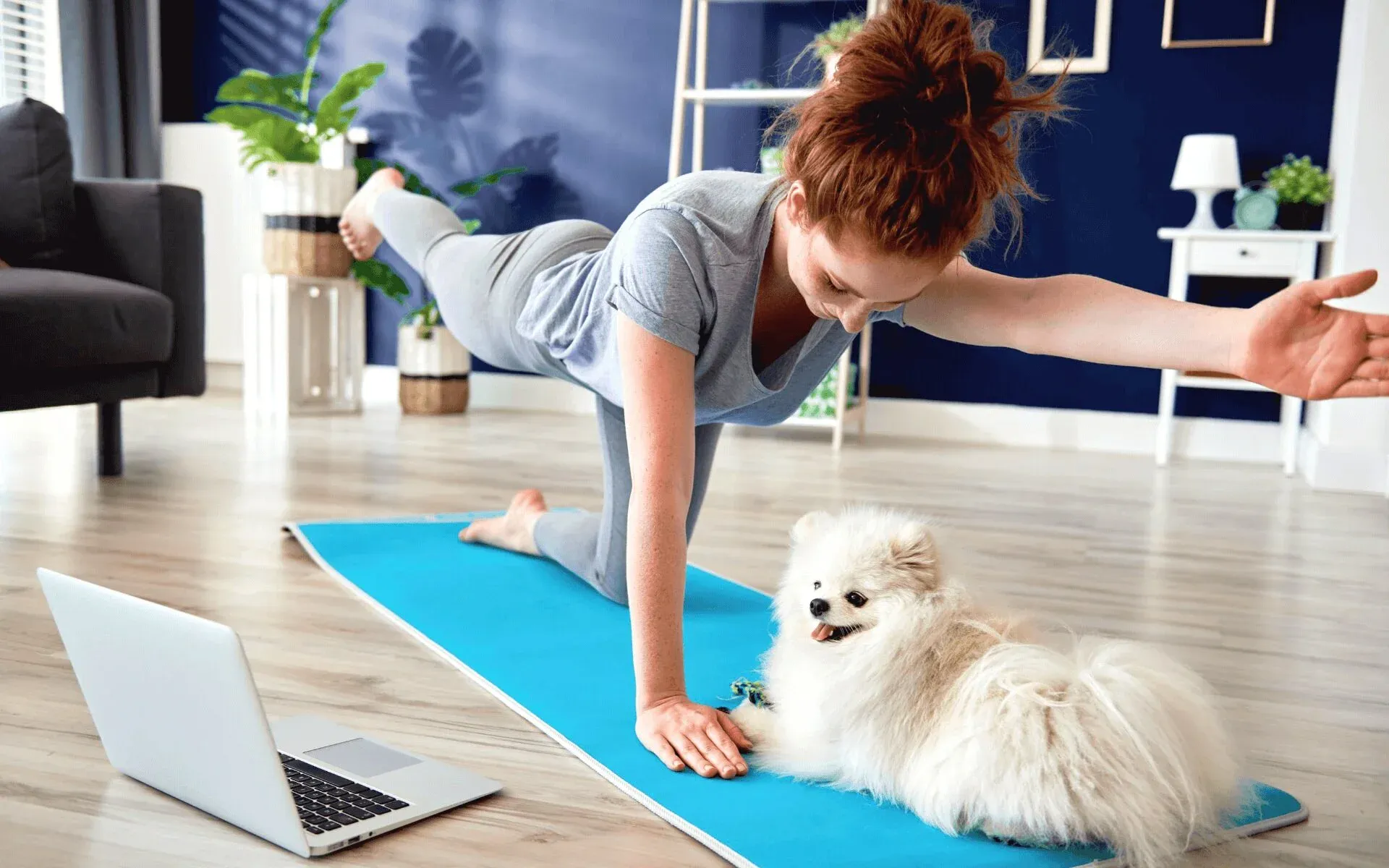 Online training session packages